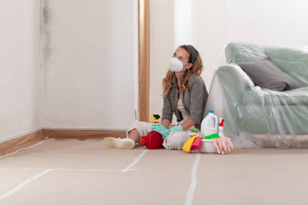 Reliable Mold Remediation contractor in Millersburg, OR by WQB Mold Removal